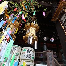 On the foot of Mt. Fuji - Exploration of the Aokigahara forest and a visit to a ...